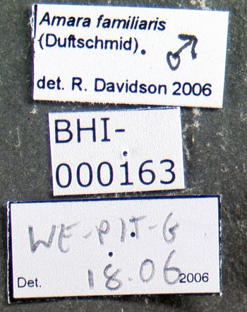 Media type: image;   Entomology 614326 Aspect: labels